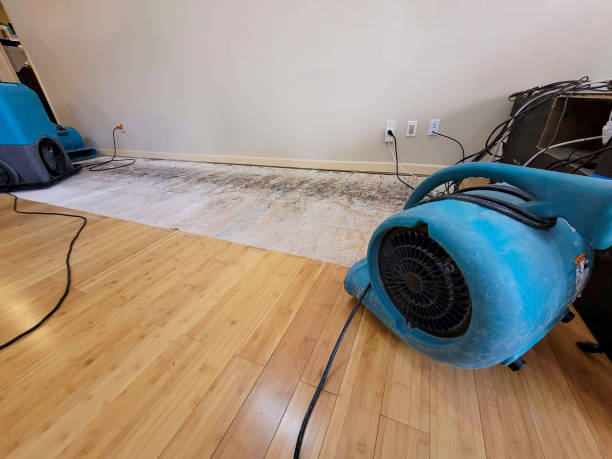 Professional Structural Drying technician working in Converse, TX